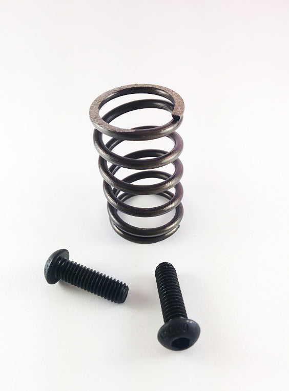 Dynomite Dodge 94-98 5.9L 12 Valve AFC Spring