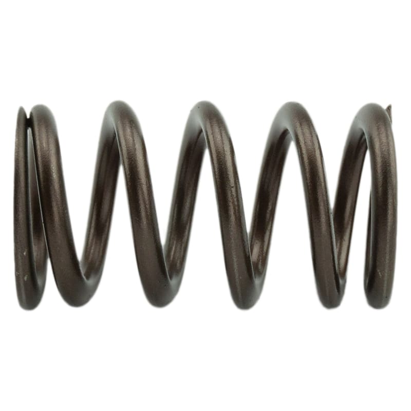 Industrial Injection Dodge Performance Valve Springs For 1998.5-2018 Cummins 24 Valve 95 LB
