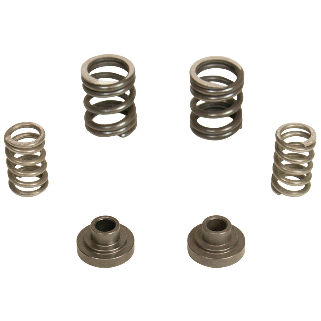 BD Diesel BD 5.9L Cummins Governor Springs P7100 Pump 3000RPM Dodge 1994-1998 12-valve