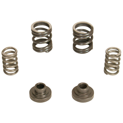 BD Diesel BD 5.9L Cummins Governor Springs P7100 Pump 3000RPM Dodge 1994-1998 12-valve