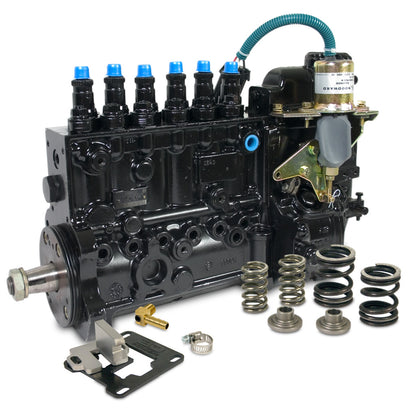BD Diesel BD 5.9L Cummins Governor Springs P7100 Pump 3000RPM Dodge 1994-1998 12-valve