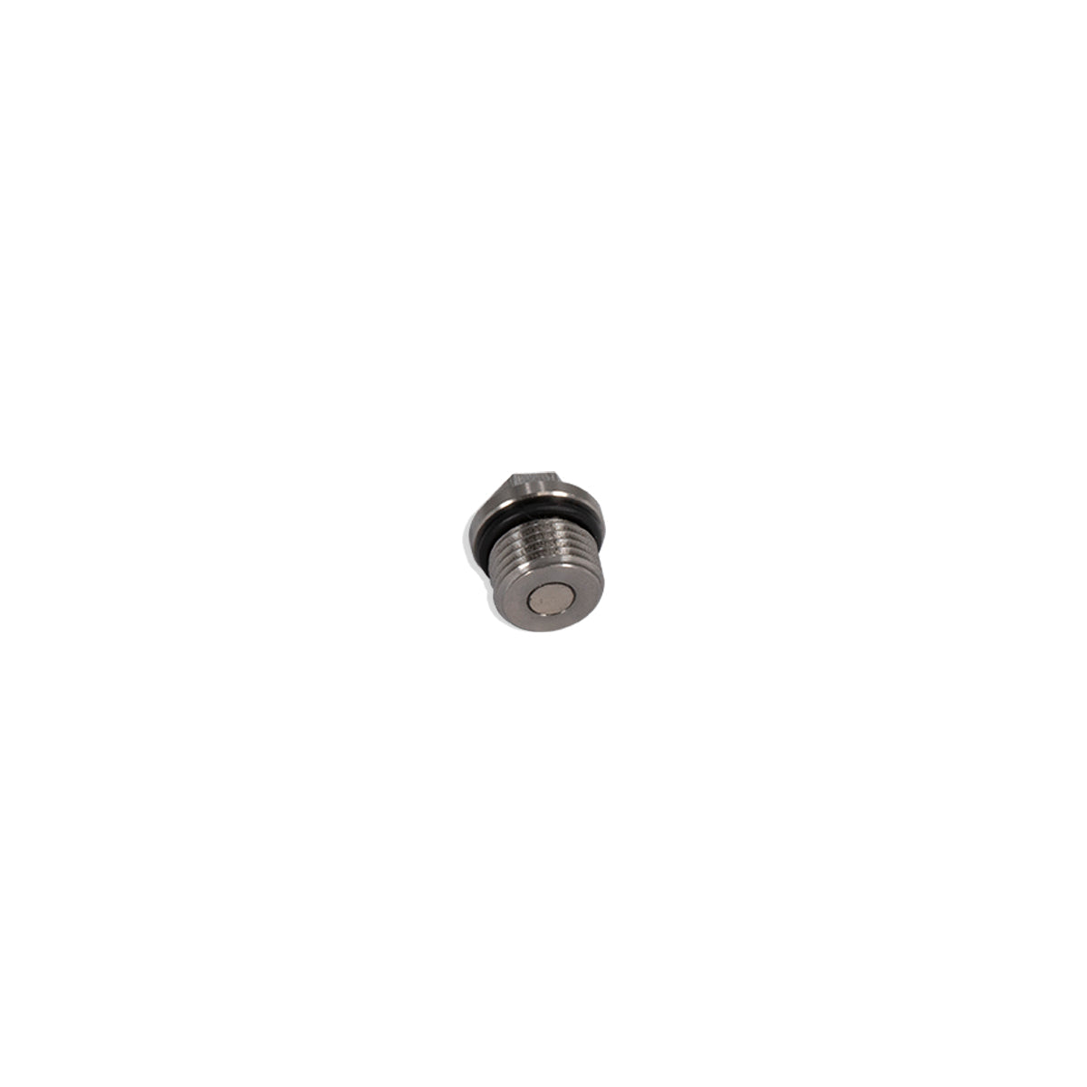 PPE ORB Plug -6 AN (9/16 Inch -18) Stainless Steel ORB Plug with Neodymium Magnet