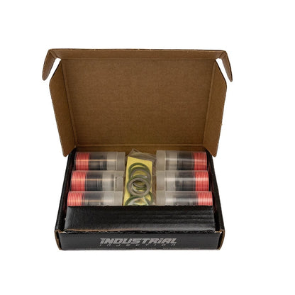 Industrial Injection Dodge Delivery Valves Kit For Cummins With Washers and Gaskets