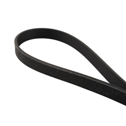 PPE Serpentine Belt - 2011-2023 Ford 5.0/5.2L Mustang 6 Rib A/C Belt 6PK851