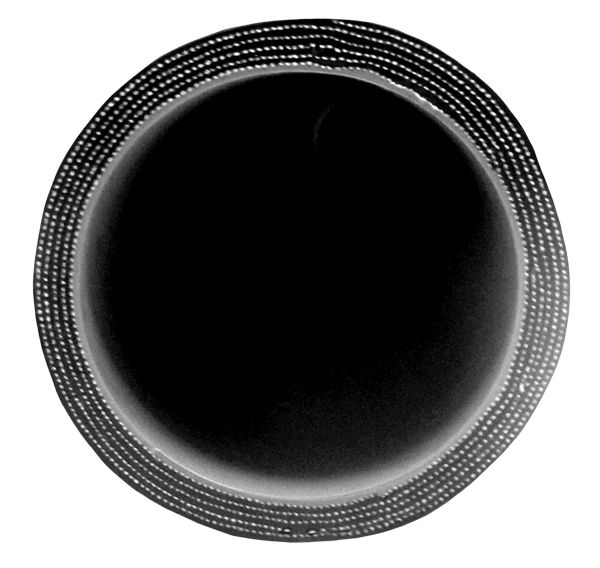 PPE 2.25 Inch X 36 Inch L 6MM 5-Ply Silicone Hose