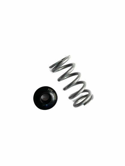 Fleece Cummins 24V Spring and Retainer Set
