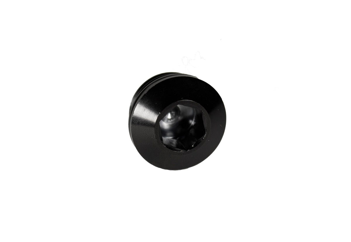 Fleece 7/8"-14 Hex Socket Plug w/ O-Ring