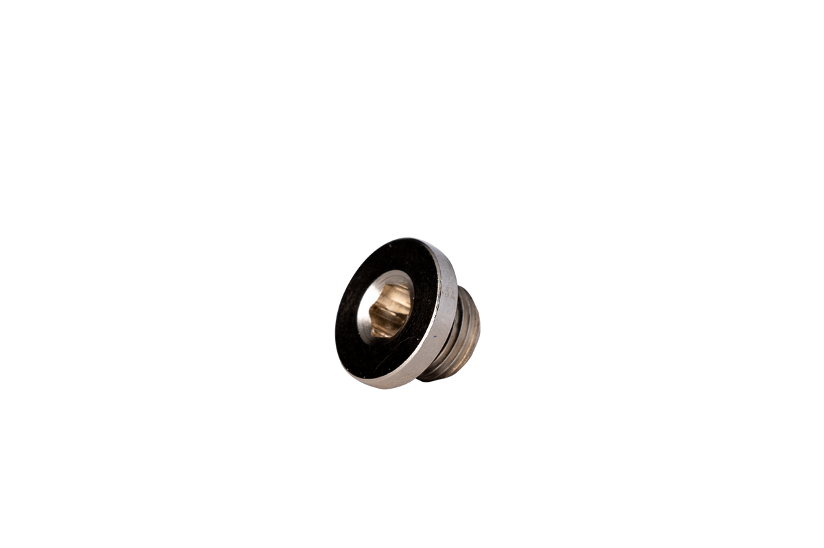 Fleece 1/8 NPT O-ring plug