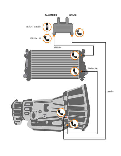 Fleece Allison Transmission Cooler Lines for 2001-2005 (LB7-LLY)