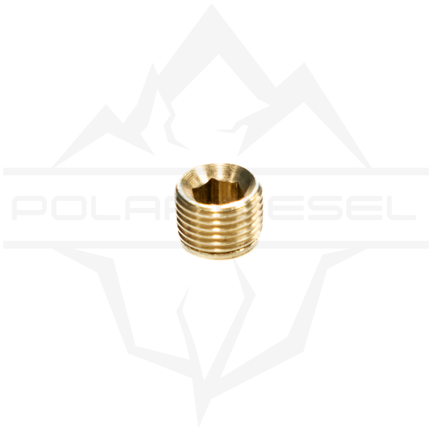 Polar 1/8th NPT Plug
